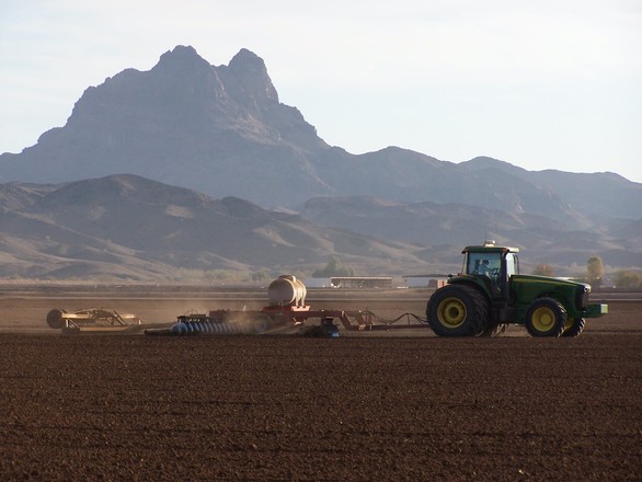 tractor on farm