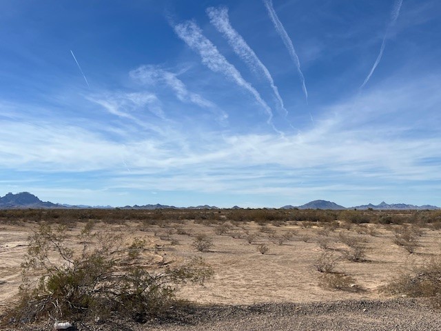 United States, ,Other,Land For Sale,1238